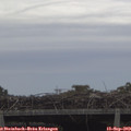 10_55-mast.jpg