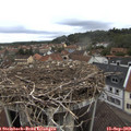 10_55-nest.jpg