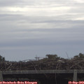11_00-mast.jpg