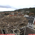11_00-nest.jpg