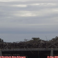 11_05-mast.jpg