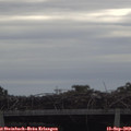 11_10-mast.jpg