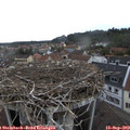 11_10-nest.jpg