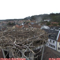 11_15-nest.jpg
