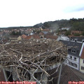 11_20-nest.jpg