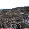 11_30-nest.jpg