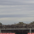 11_35-mast.jpg