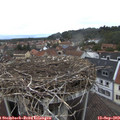 11_35-nest.jpg