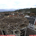 11_45-nest.jpg