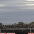12_00-mast.jpg