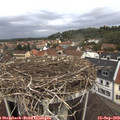 12_00-nest.jpg