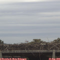 12_05-mast.jpg