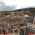 12_05-nest.jpg