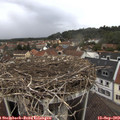 12_10-nest.jpg