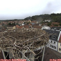 12_15-nest.jpg