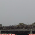 12_25-mast.jpg
