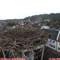 12_30-nest.jpg