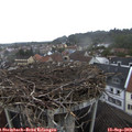 12_35-nest.jpg
