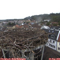 12_45-nest.jpg