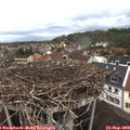 12_55-nest.jpg