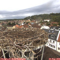 13_00-nest.jpg