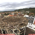 13_05-nest.jpg