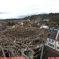 13_10-nest.jpg