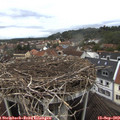 13_15-nest.jpg