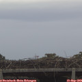 13_20-mast.jpg