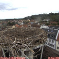 13_20-nest.jpg