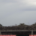 13_25-mast.jpg
