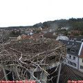 13_25-nest.jpg