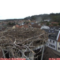 13_30-nest.jpg