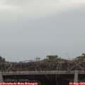 13_35-mast.jpg
