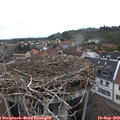 13_35-nest.jpg