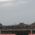13_40-mast.jpg