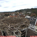 13_40-nest.jpg