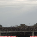 13_45-mast.jpg