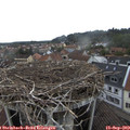 13_45-nest.jpg