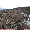 13_50-nest.jpg