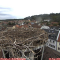 13_55-nest.jpg