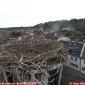 14_00-nest.jpg