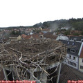 14_10-nest.jpg