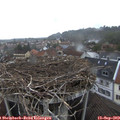 14_15-nest.jpg