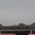 14_20-mast.jpg