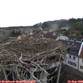 14_25-nest.jpg