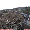 14_30-nest.jpg