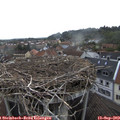 14_35-nest.jpg