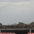 14_40-mast.jpg