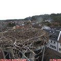 14_40-nest.jpg